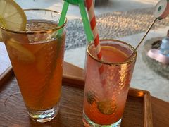 -柴犬高等学院·狗咖·柴犬售卖·宠物训练