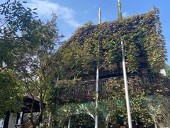 -得丘礼享谷·玉兰苑