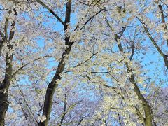 -龙美术馆西岸馆-停车场