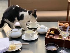 -上海璞麗酒店