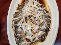 -齐河·老东家·民间菜·地标特色美食