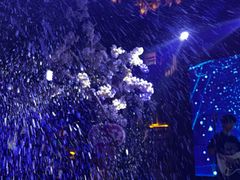 -胡桃里音乐酒馆(下沙店)
