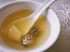 花螺鸡汤-神仙馆(衡山路店)