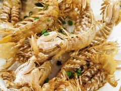 虾姑-友强·23年特色海鲜大排档(厦门店)
