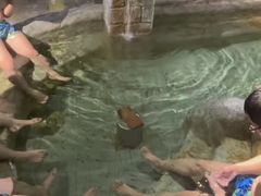 -汗蒸时代水善汤泉(欣欣嘉园店)