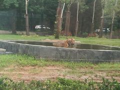 -秦皇岛野生动物园