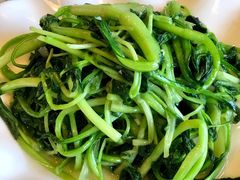 -文三里屯面馆(三里屯店)