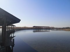 -苏州太湖湖滨国家湿地公园