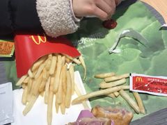 -麦当劳(塔园路店)