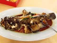 油泼石斑-良友·海鲜青岛菜(五四广场店)