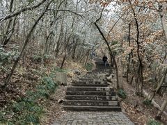 -紫金山山顶公园
