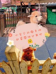 -萌宠亲子动物乐园(槐房万达店)