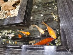 -天沐温泉(抚顺店)