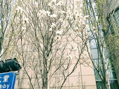 -江西大酒店