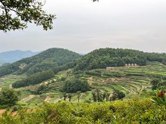 -乌石村