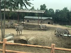 -西安秦岭野生动物园