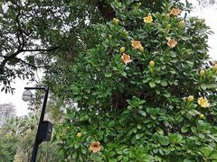 -桃花涧