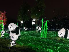 -国际非物质文化遗产博览园
