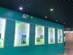 -上海昆虫博物馆