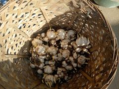 -桂林市花鸟市场