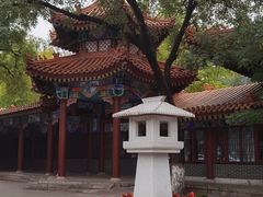 -渭滨公园