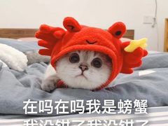 -发酵食堂(屏风街店)