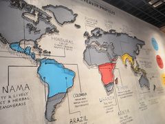 -ZING COFFEE 镜咖啡