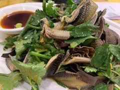 牛百叶捞黄鳝柳-粤·向群饭店(泮塘路店)