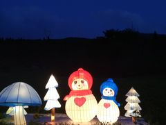 -武陵山森林公园