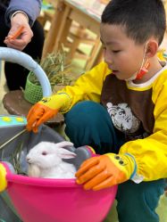 -萌宠家互动乐园