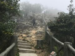 -梧桐山风景名胜区