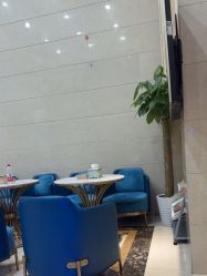 -碧莲盛·不剃发植发