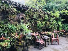 -青城甲(青城山店)