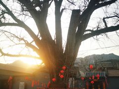 -康陵正德春饼宴26号