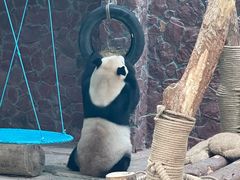 -黔灵山公园
