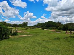 -奥兰多迪士尼动物王国乐园