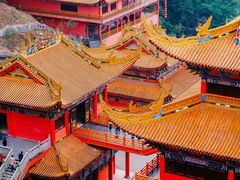 -东莞市大岭山森林公园