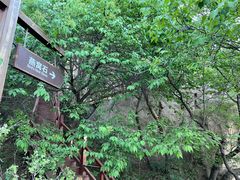 -大岭沟猕猴桃谷风景区
