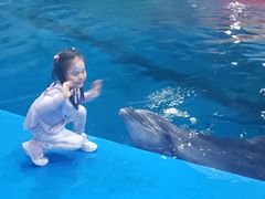 -华夏文旅海洋公园