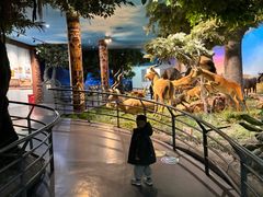 -国家自然博物馆