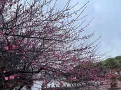 -白塘生态植物园