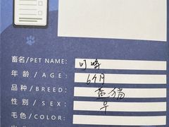 -申普宠物医院·眼科·心内科·影像科(普陀分院)