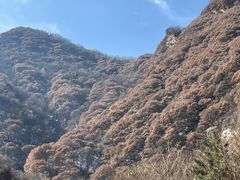 -少华山国家森林公园