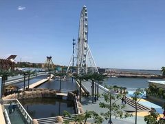 -秦皇岛乐岛海洋王国