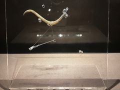 -荆州博物馆