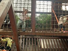 -中国福利会少年宫