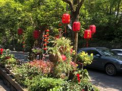 -国生茶庄·地道农家菜团建活动