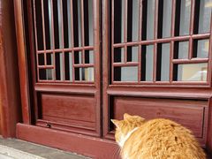 -西园戒幢律寺
