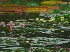-国家植物园南园