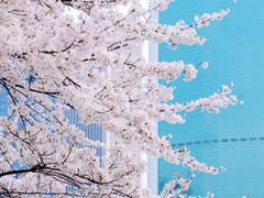 -西北湖绿化广场